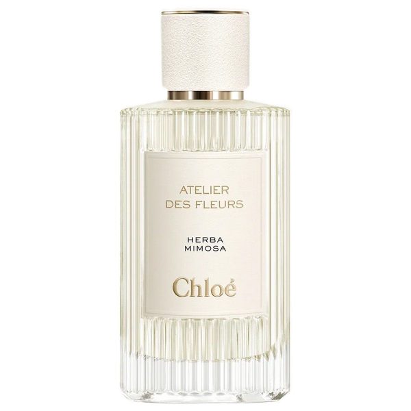 Chloe Atelier Des Fleurs Herba Mimosa